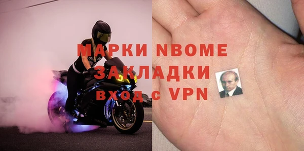 хмурый Аркадак