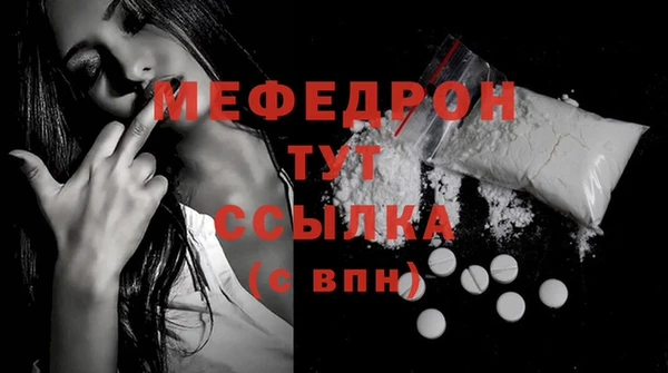 хмурый Аркадак