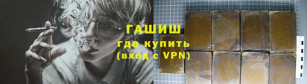 хмурый Аркадак
