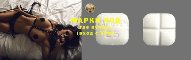 твердый Арсеньев
