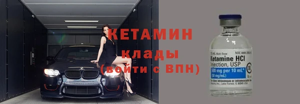 хмурый Аркадак