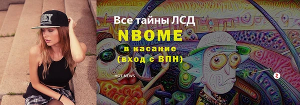 хмурый Аркадак