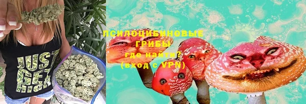 твердый Арсеньев