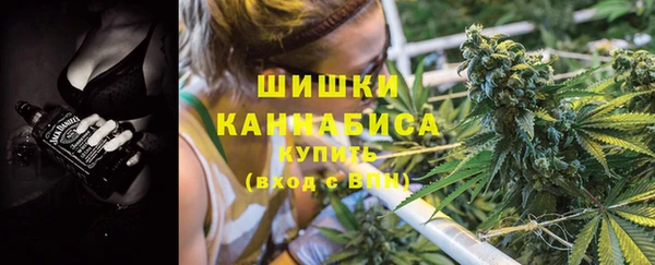 твердый Арсеньев