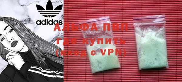 твердый Арсеньев