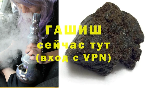 хмурый Аркадак