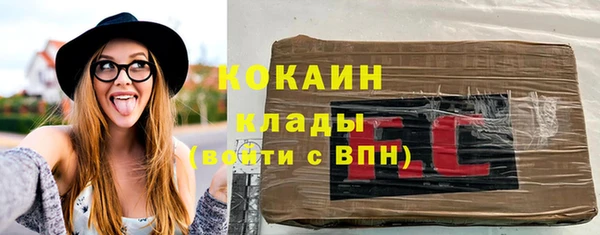 твердый Арсеньев
