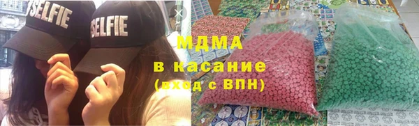 хмурый Аркадак