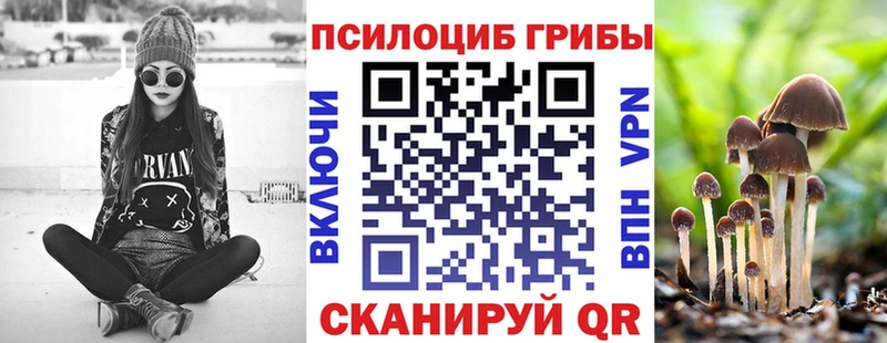 Купить  Новозыбков  Псилоцибиновые грибы Magic Shrooms 