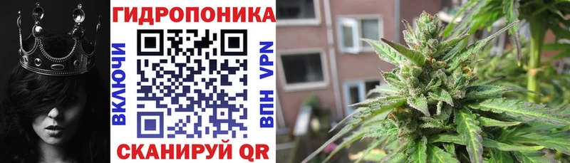 Купить где Новозыбков Марихуана план